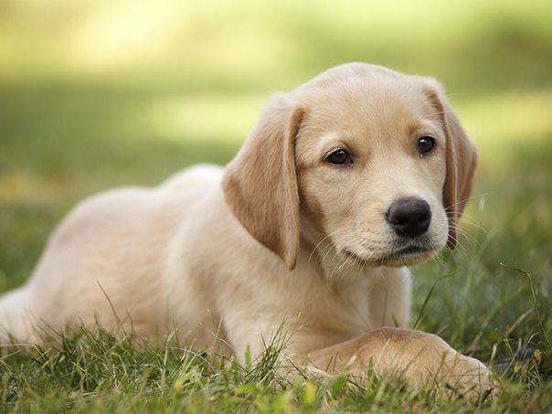 851124ad6c036c58e06997efefa78101